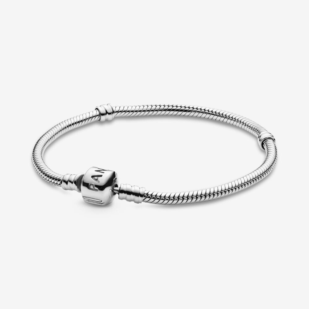 Pandora Bracelet Moments